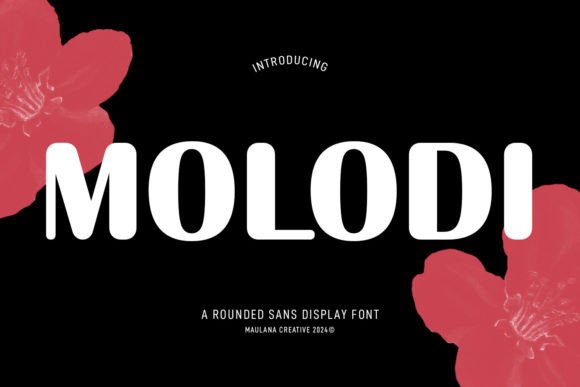Molodi Font Review for Modern Web Design