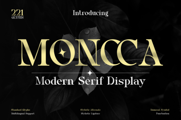 Moncca Font: Elevating Digital Marketing Visuals